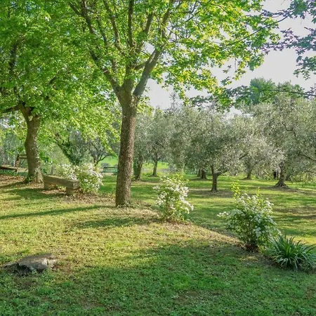 Se053 - Senigallia, Meraviglioso Trilocale Con Piscina